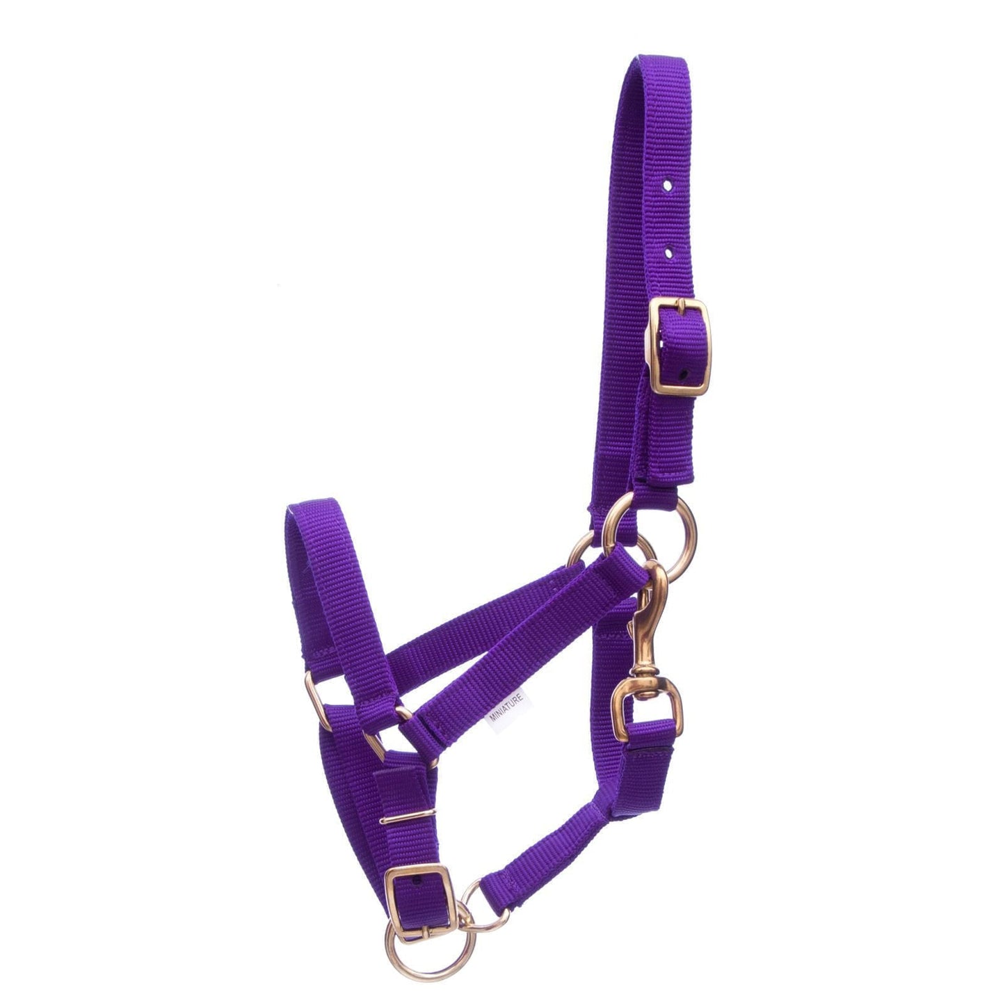 Mini Horse Adjustable Nylon Miniature Horse Halter