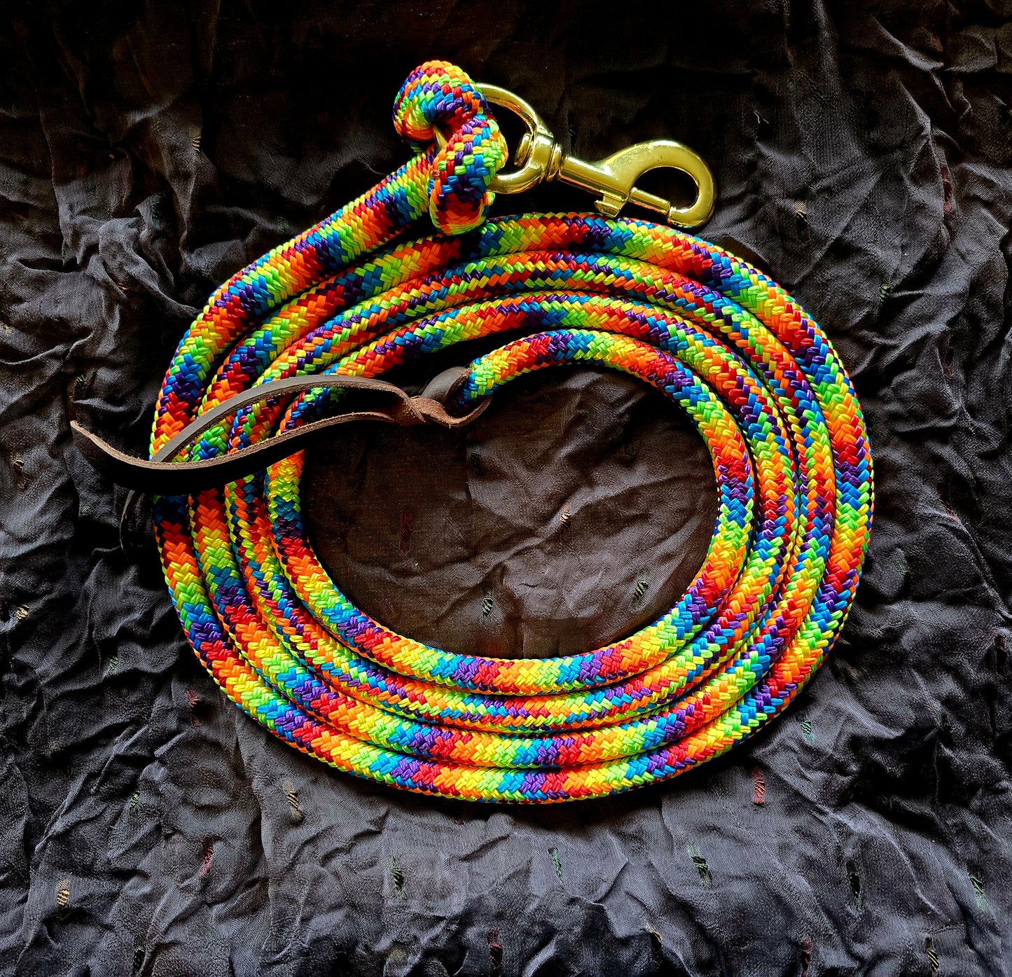 Handcrafted 10' Lead Rope with Leather Popper — Rainbow