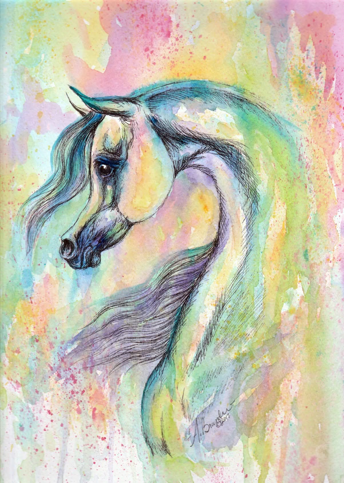 Enigma Arabian Horse Watercolor Painting Art Print