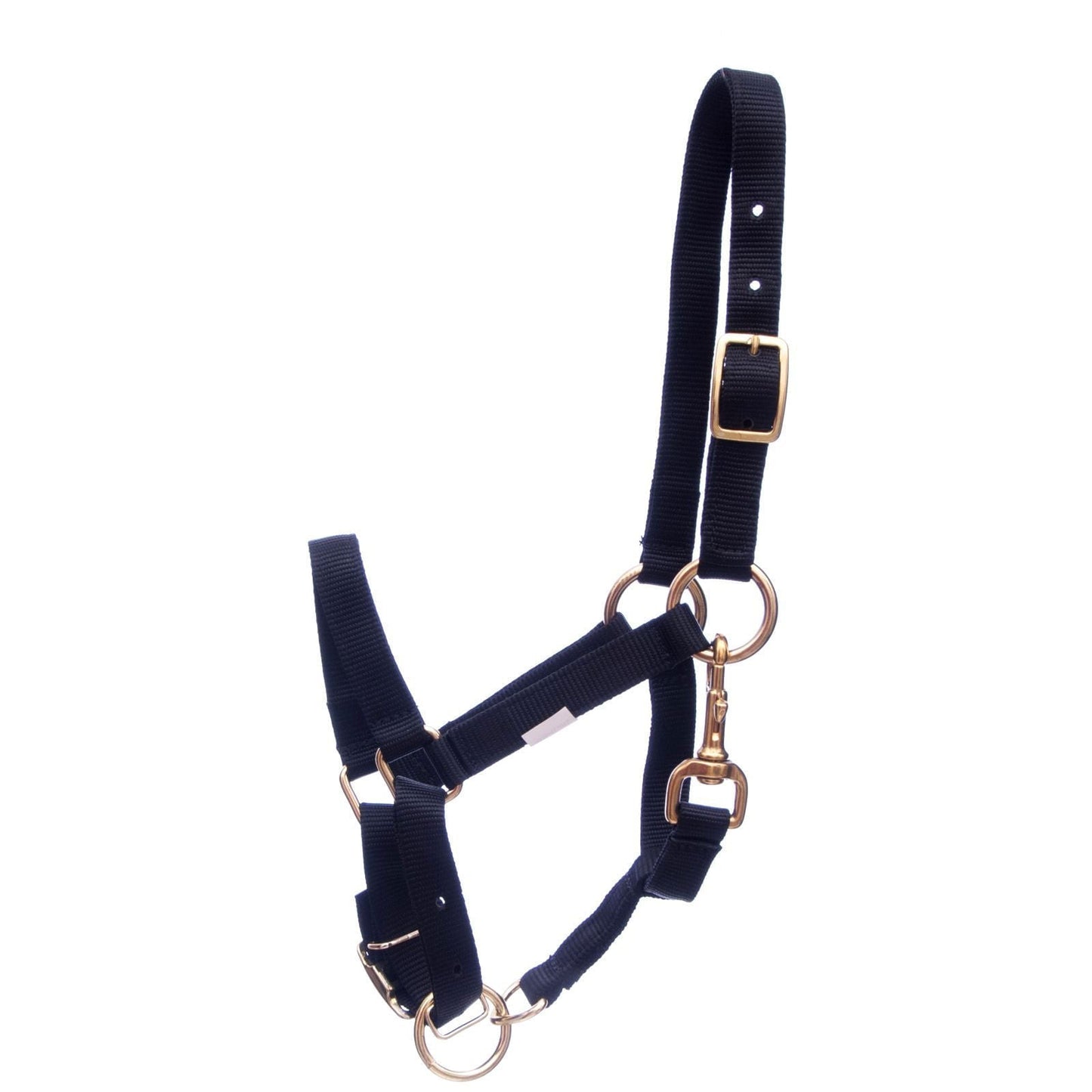 Mini Horse  Adjustable Nylon Miniature Horse Halter