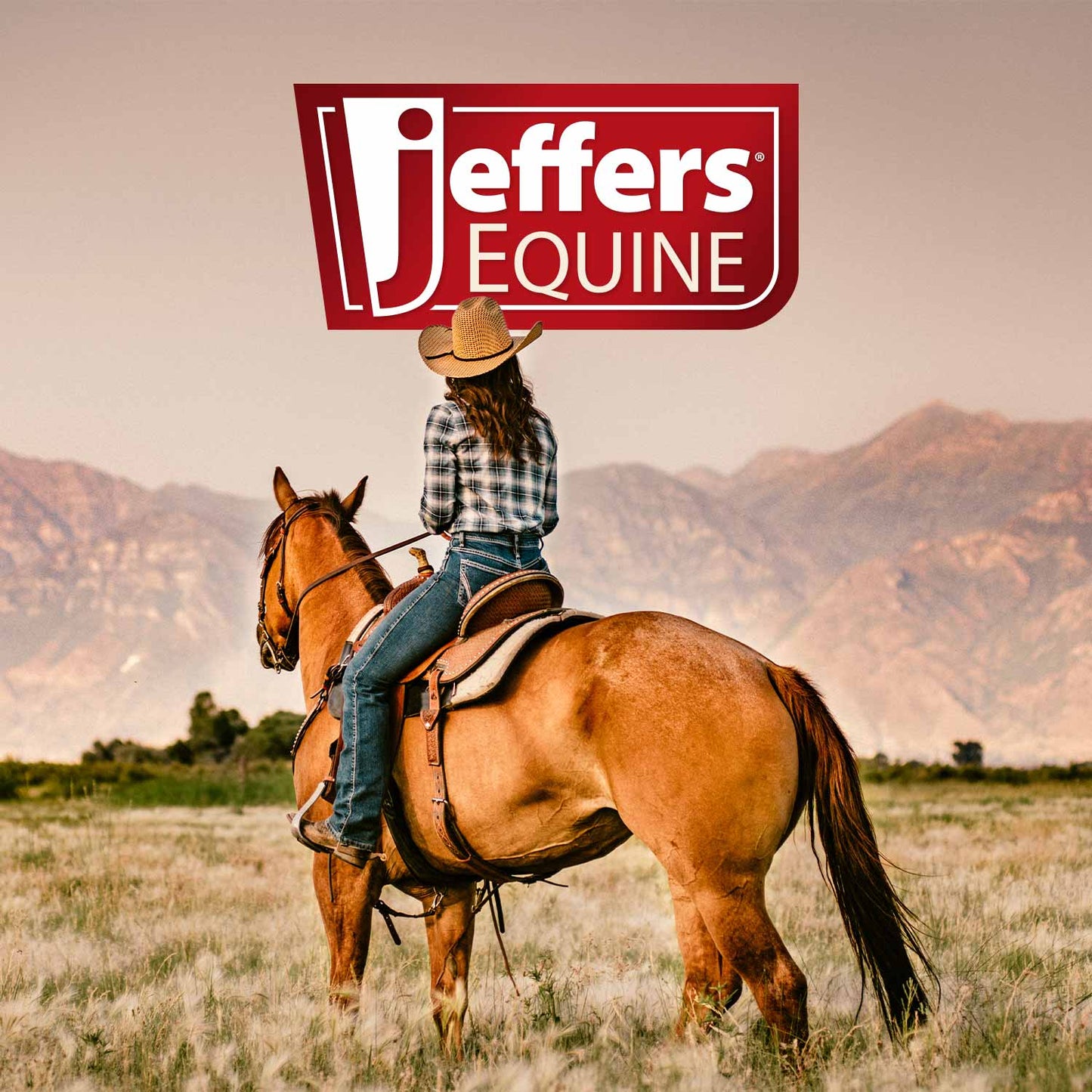 Premium WoolLuxe 100% Wool Equine Saddle Pad – Cushioned, Breathable, and Shock-Absorbing