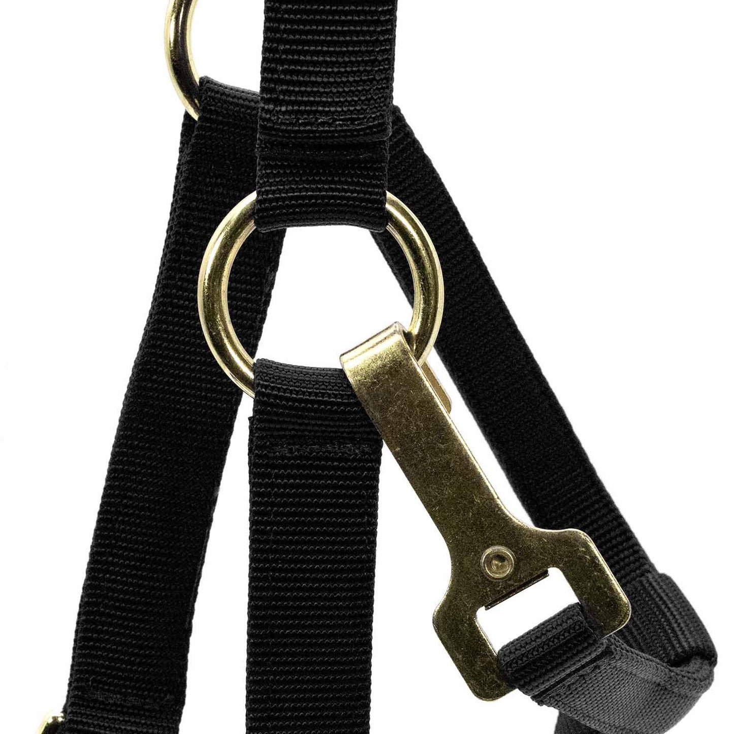 Adjustable Halter with Throat Snap