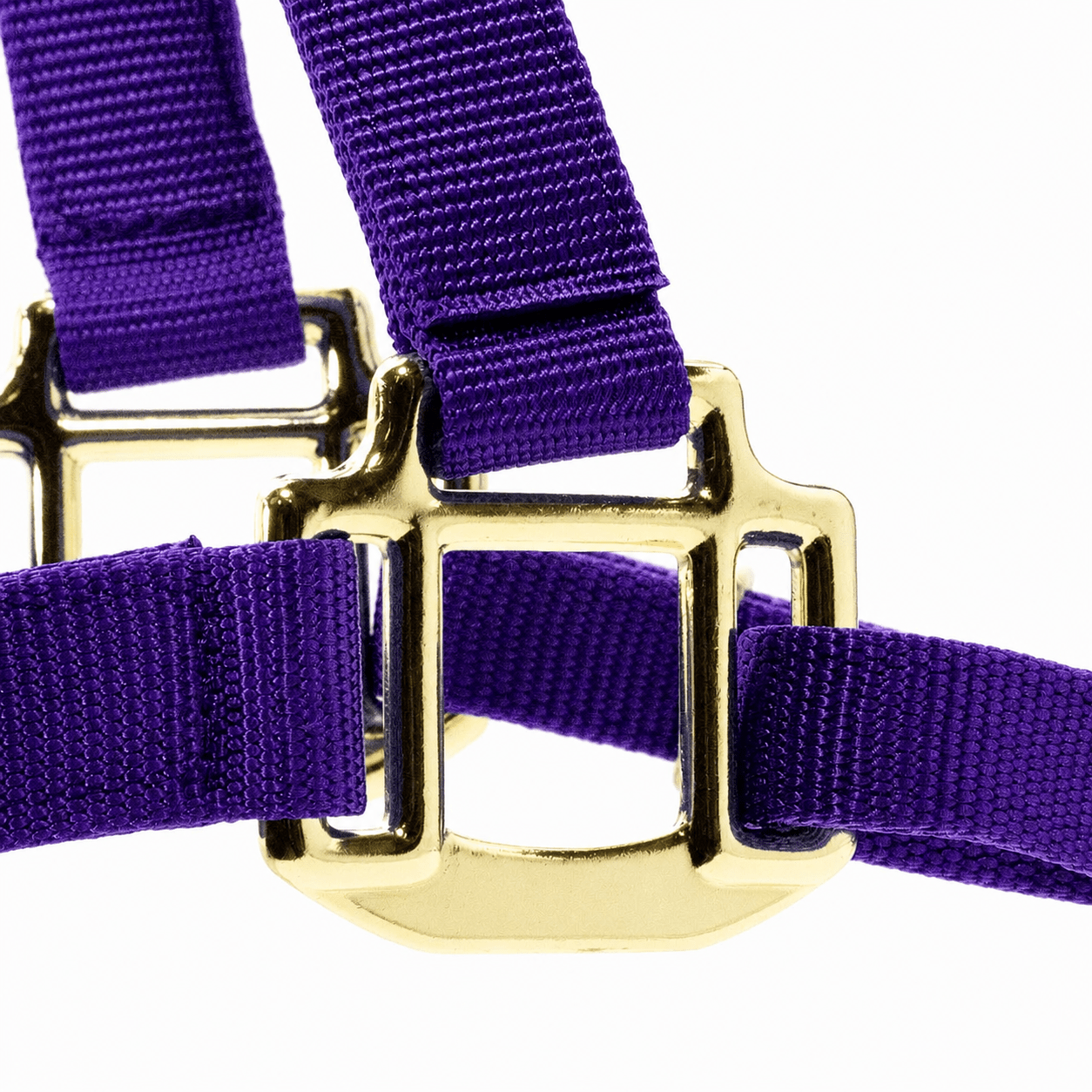 Adjustable Halter with Throat Snap