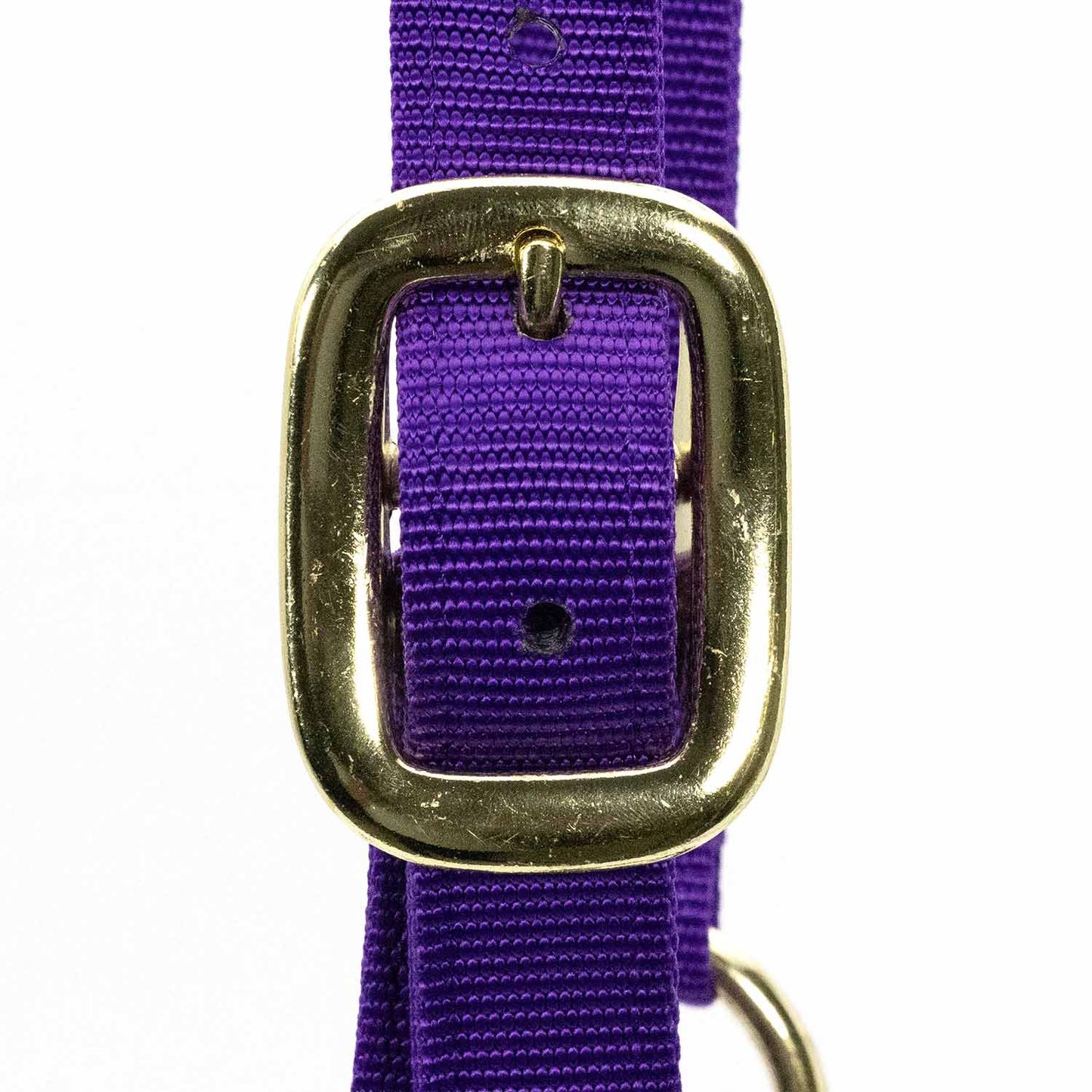 Adjustable Halter with Throat Snap