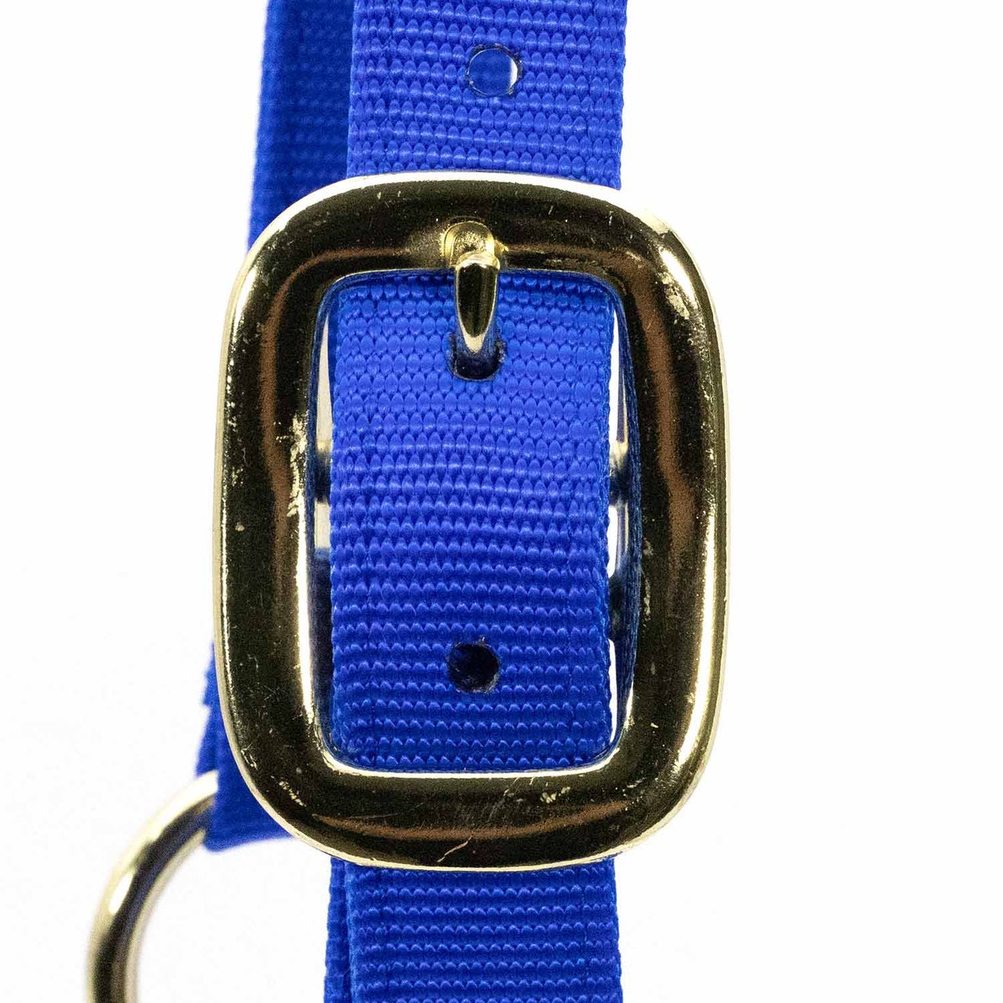 Adjustable Halter with Throat Snap