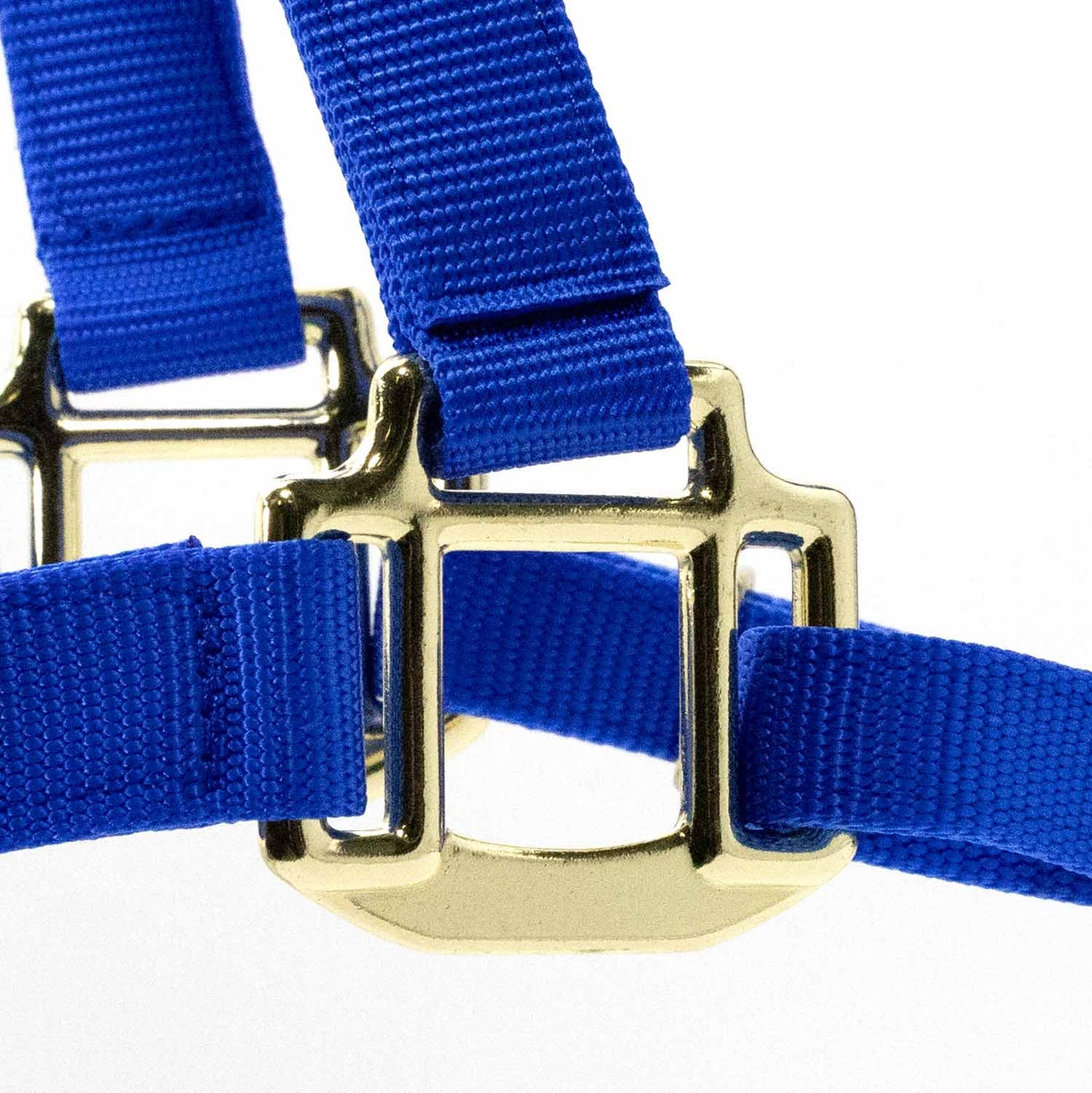 Adjustable Halter with Throat Snap