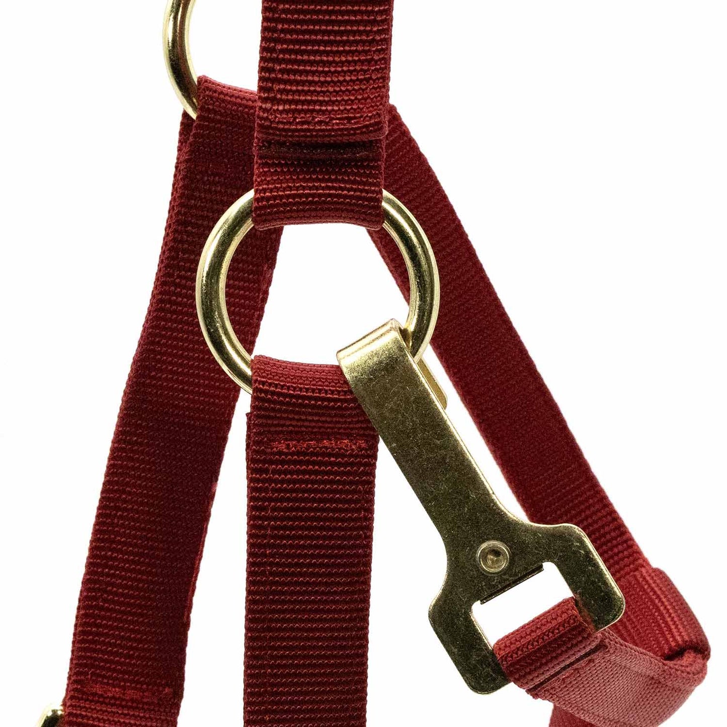 Adjustable Halter with Throat Snap