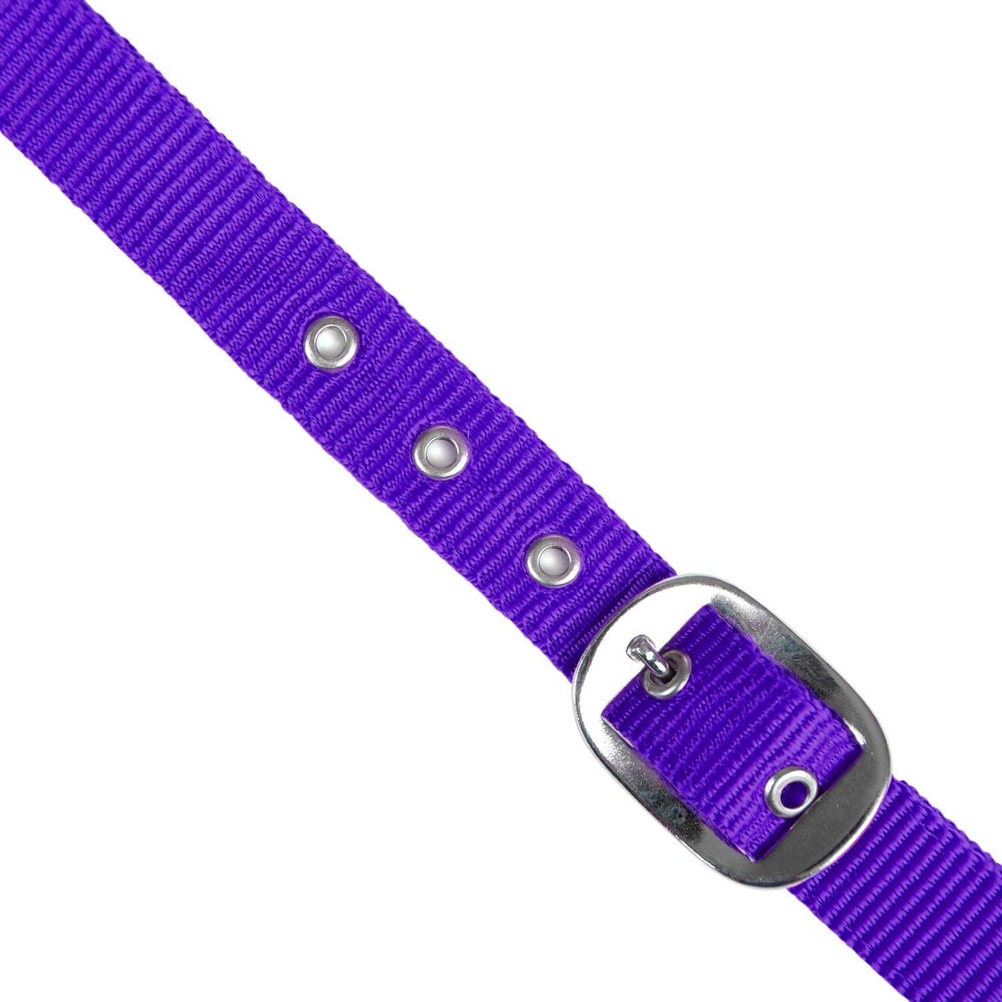 Value Adjustable Nylon Full Size Horse Halter