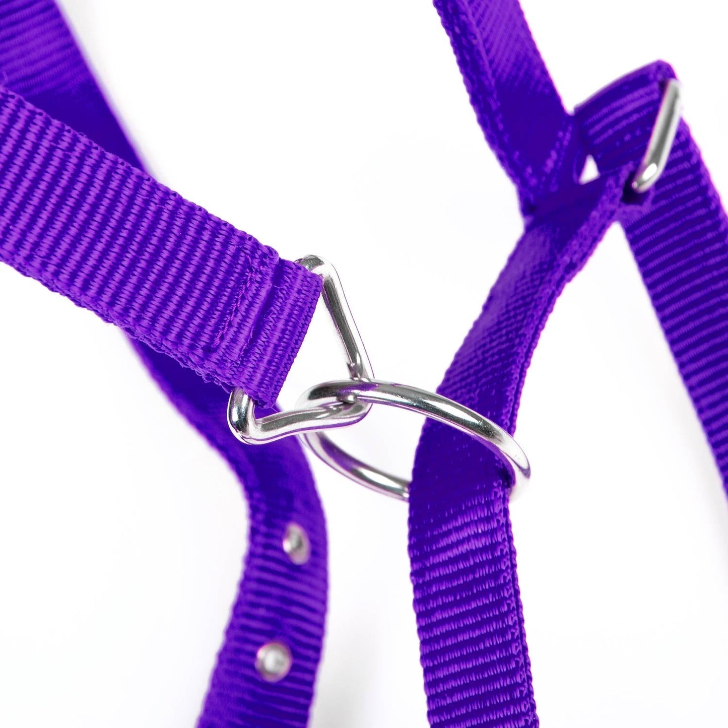 Value Adjustable Nylon Full Size Horse Halter