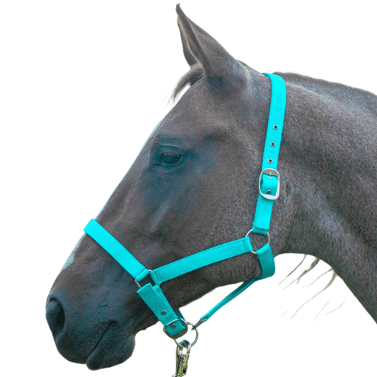 Value Adjustable Nylon Full Size Horse Halter