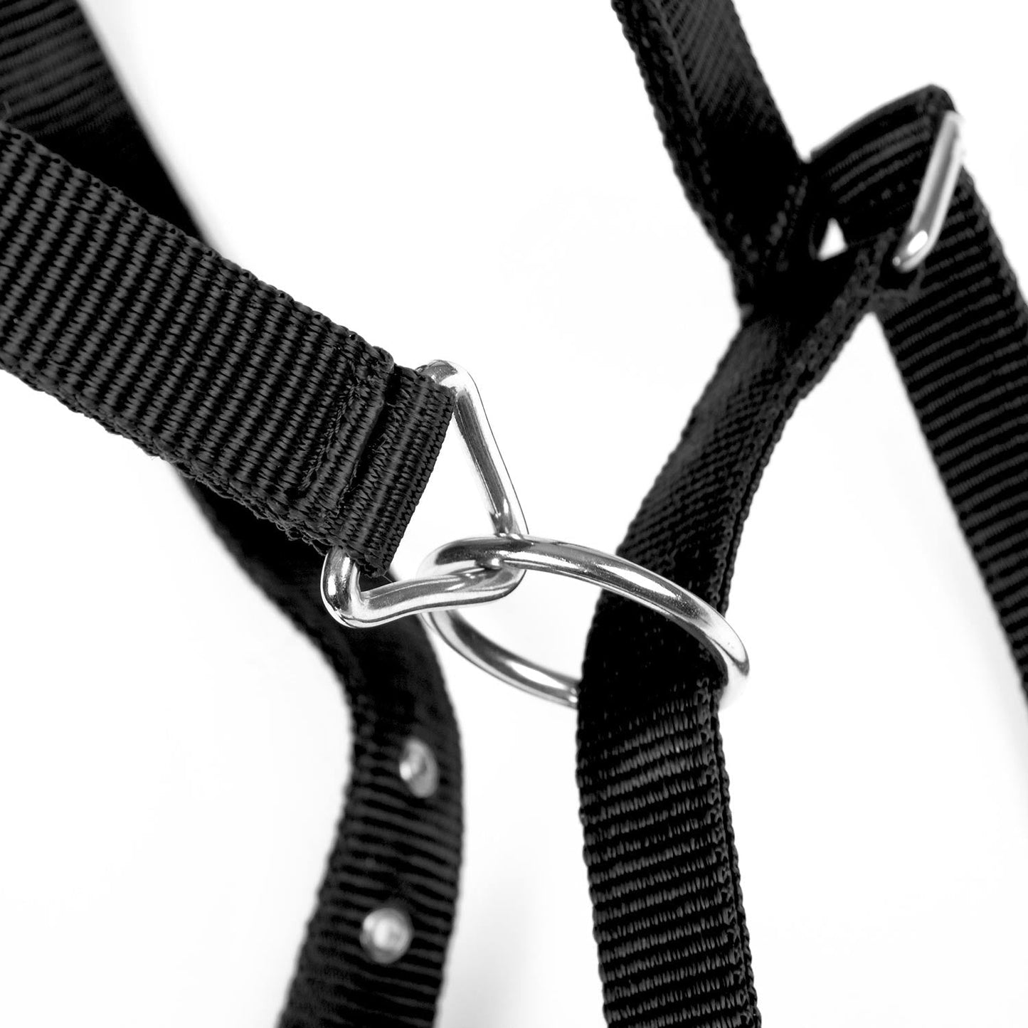 Value Adjustable Nylon Full Size Horse Halter