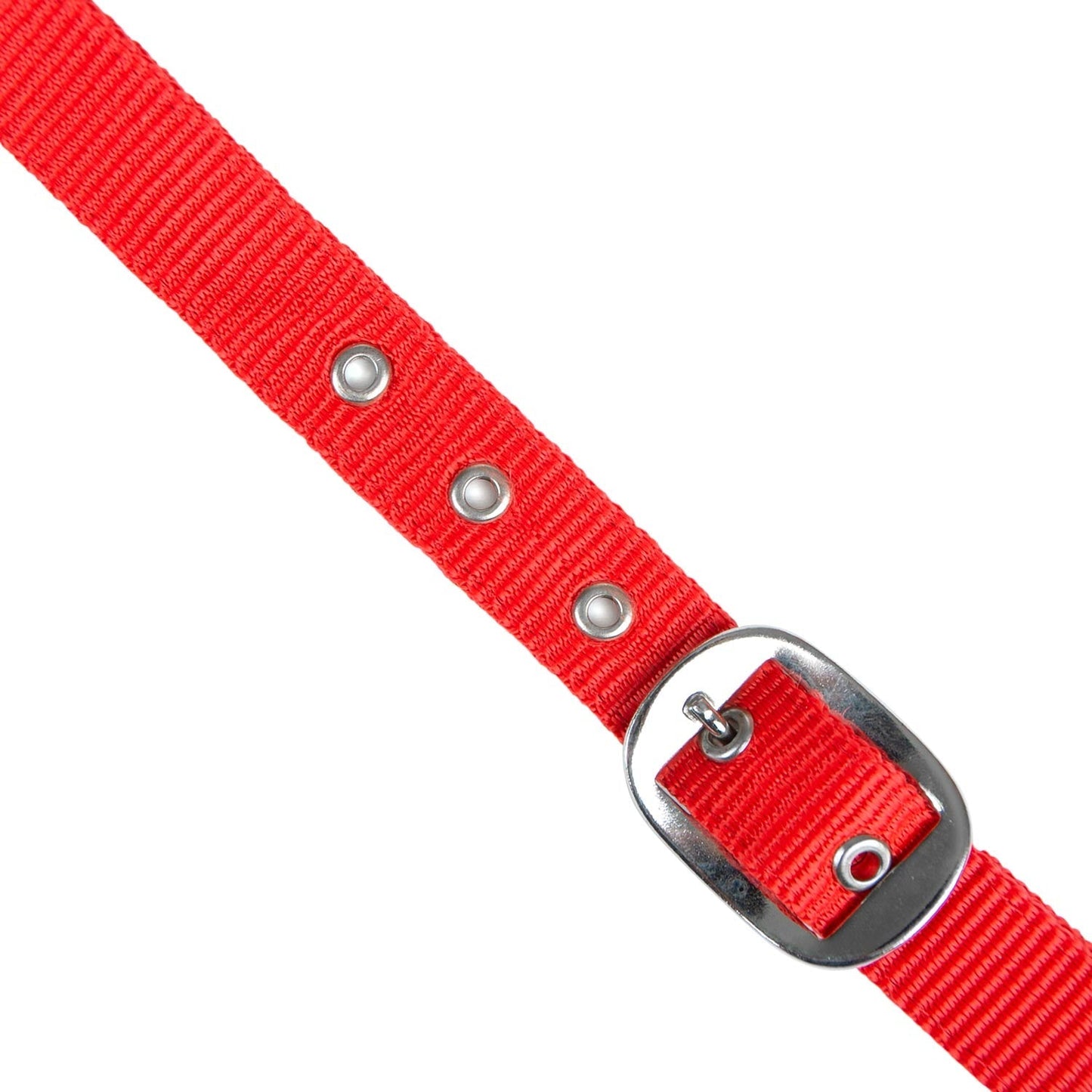 Value Adjustable Nylon Full Size Horse Halter