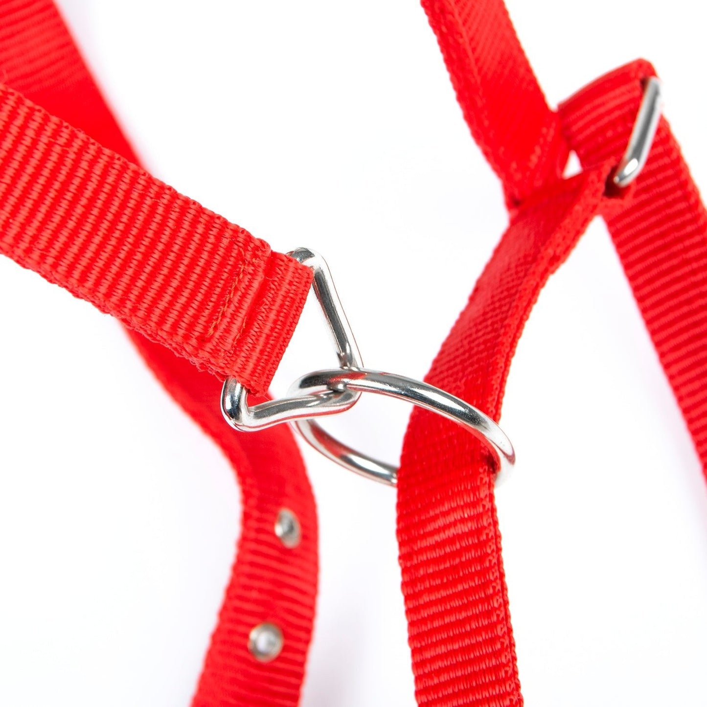 Value Adjustable Nylon Full Size Horse Halter