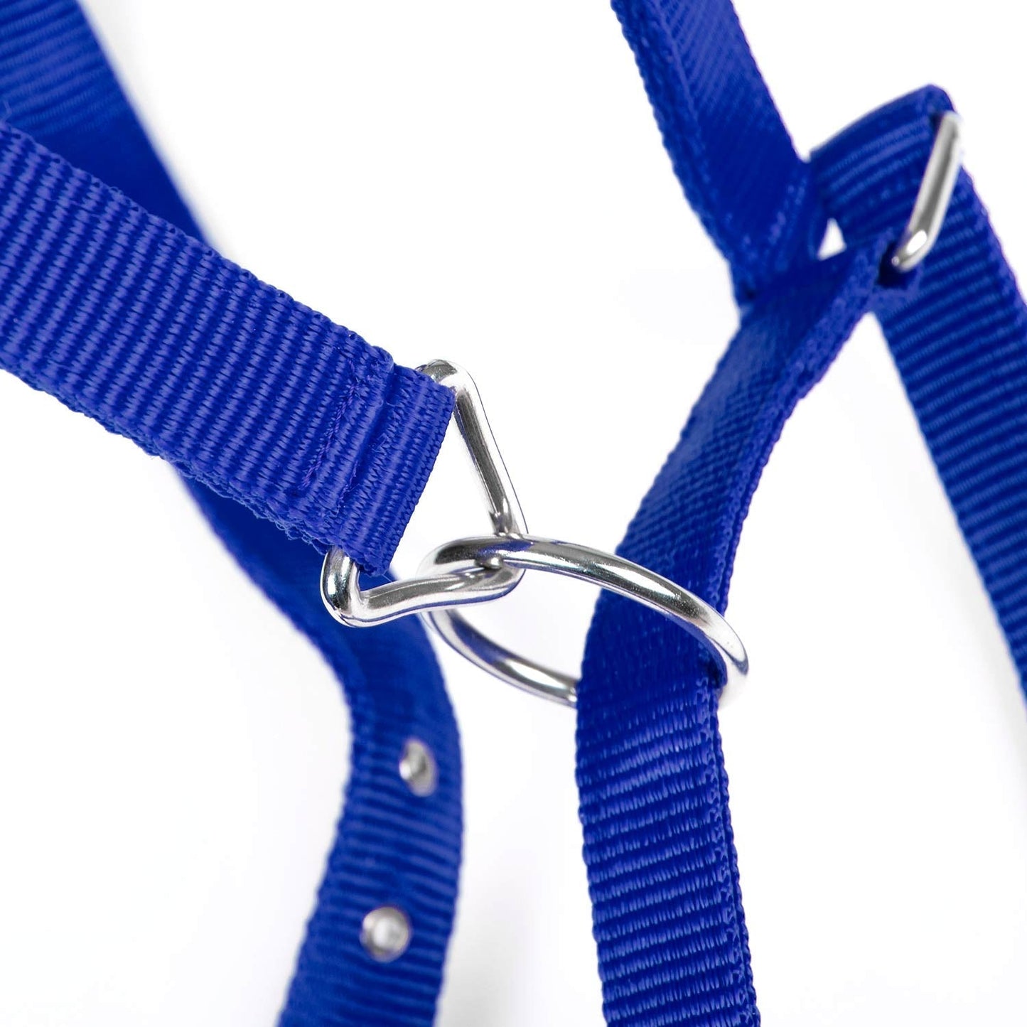 Value Adjustable Nylon Full Size Horse Halter