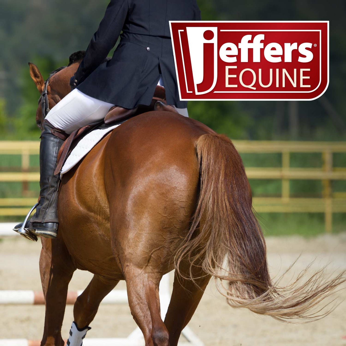 Jeffers Brand Equine Tail & Mane Detangler and Conditioner for Horses
