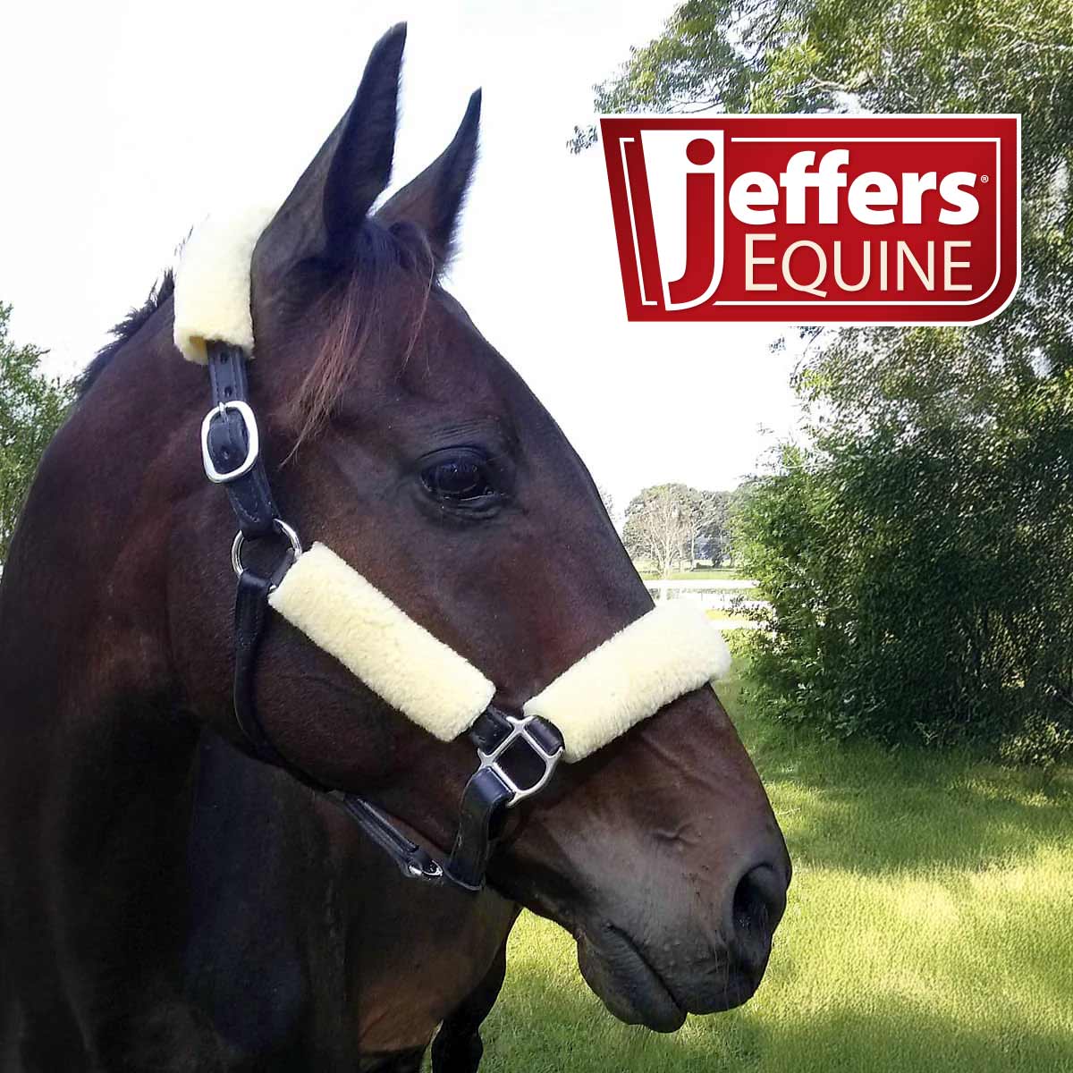 Soft Horse Fleece Halter Tube, 4 Piece Comfort Set