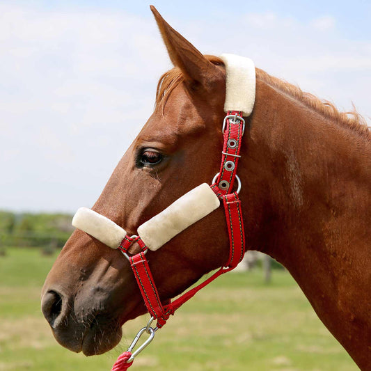 Soft Horse Fleece Halter Tube, 4 Piece Comfort Set
