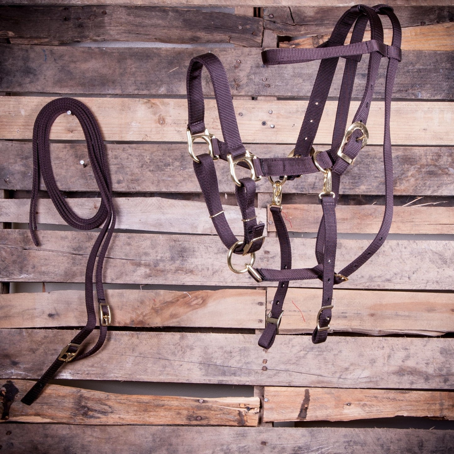 Nylon Combination Endurance Trail Horse Halter Bridle with Reins