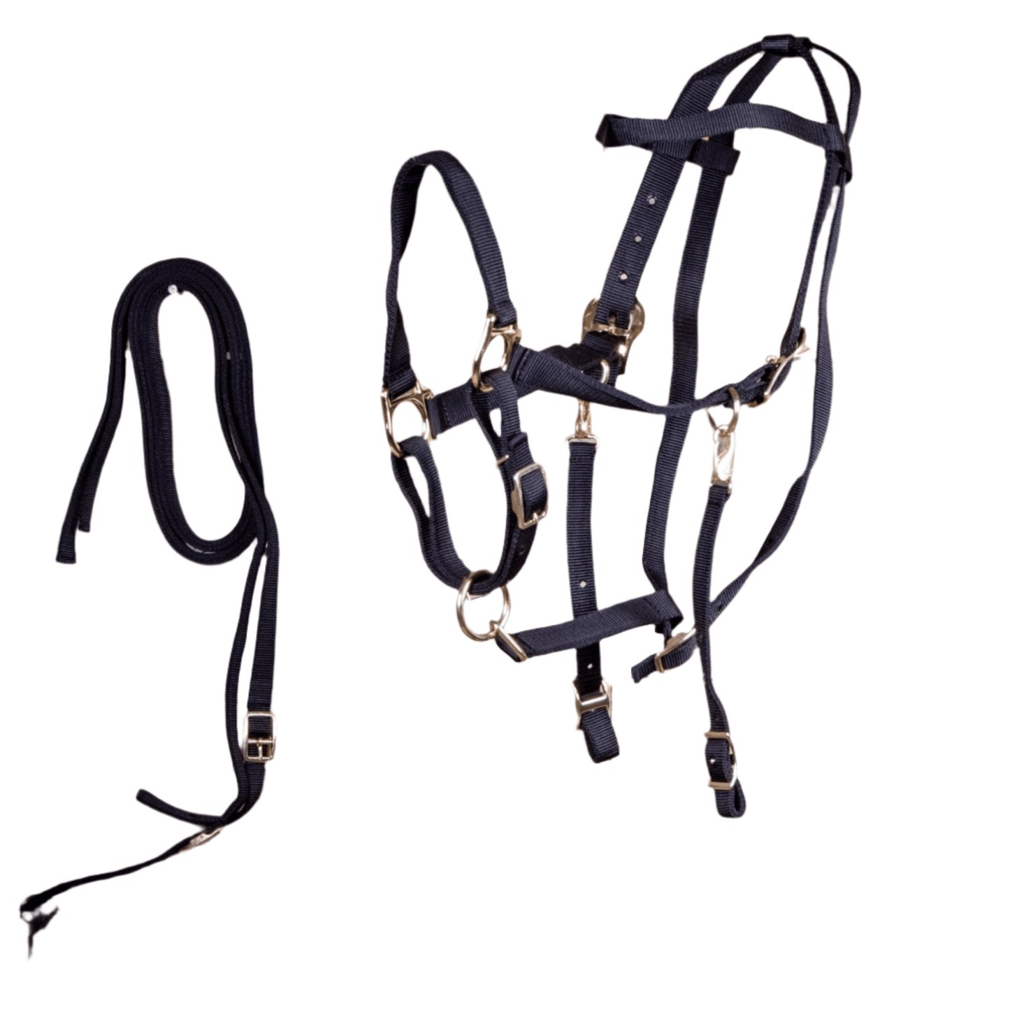 Nylon Combination Endurance Trail Horse Halter Bridle with Reins