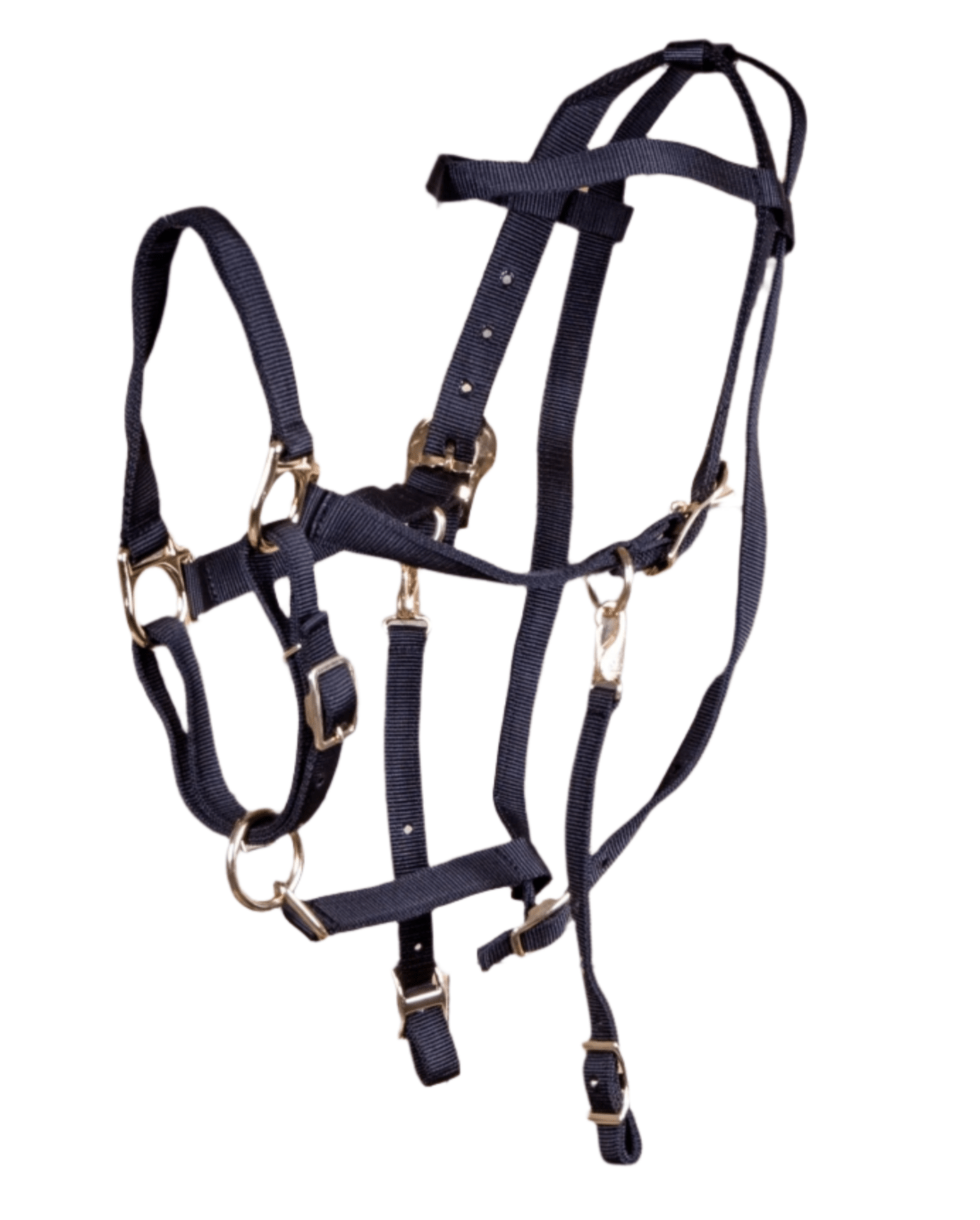 Nylon Combination Endurance Trail Horse Halter Bridle with Reins