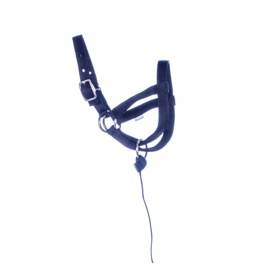 Nylon Llama Halter with Catch Strap