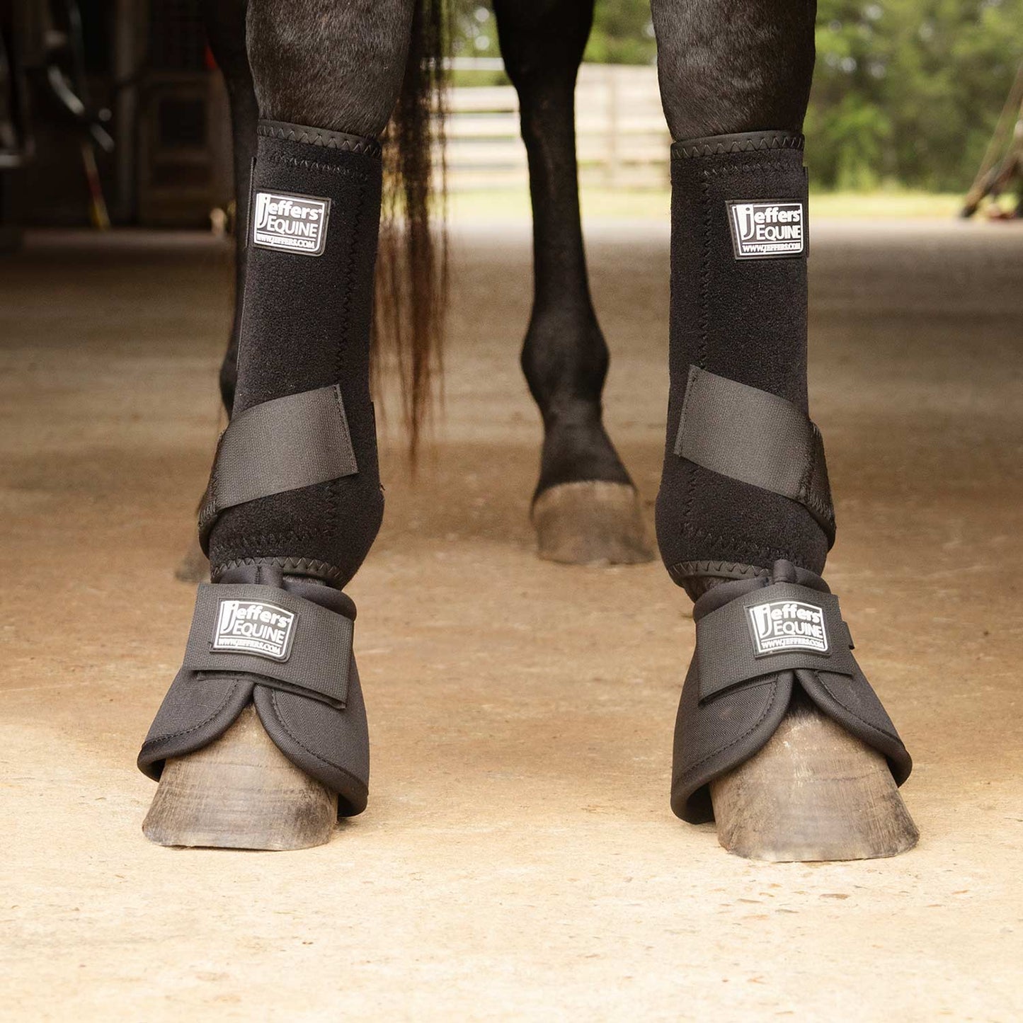 Jeffers Protective Horse Boots, Solid Colors