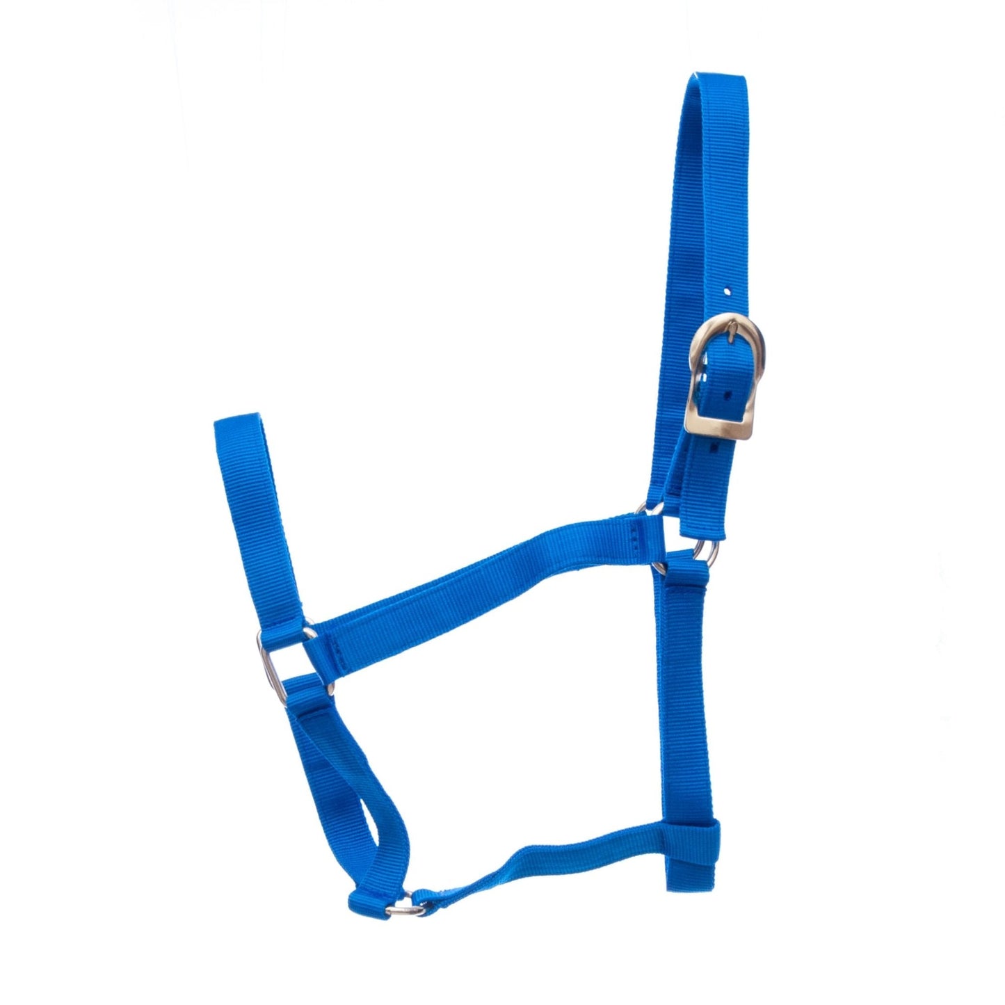 Premium Turnout Nylon Horse Halters, 2-Ply, 1"