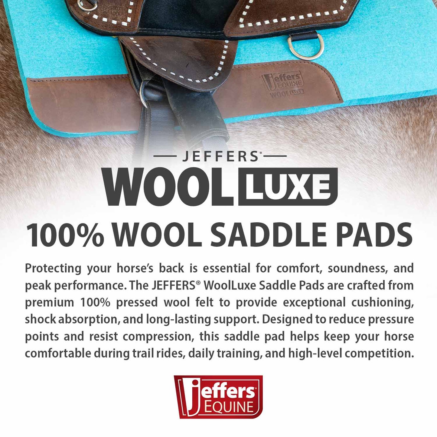 Premium WoolLuxe 100% Wool Equine Saddle Pad – Cushioned, Breathable, and Shock-Absorbing