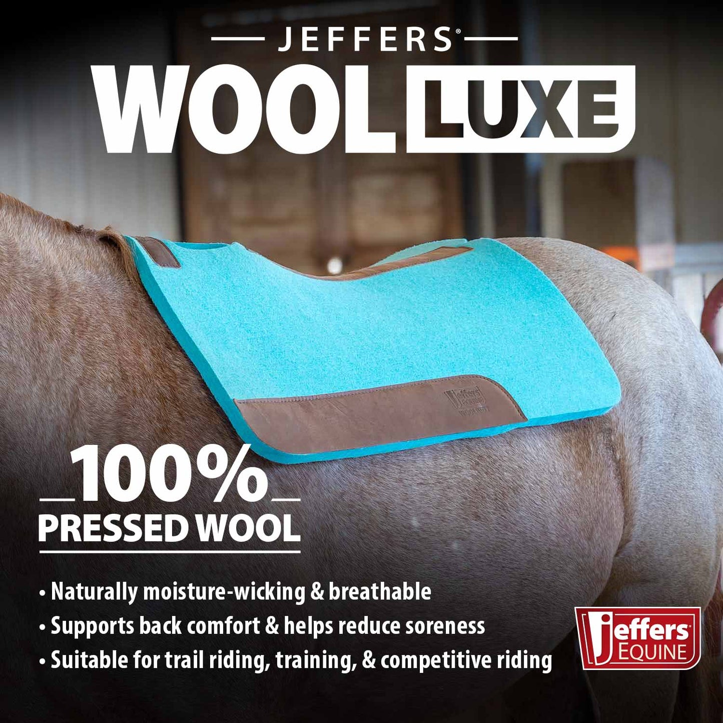 Premium WoolLuxe 100% Wool Equine Saddle Pad – Cushioned, Breathable, and Shock-Absorbing