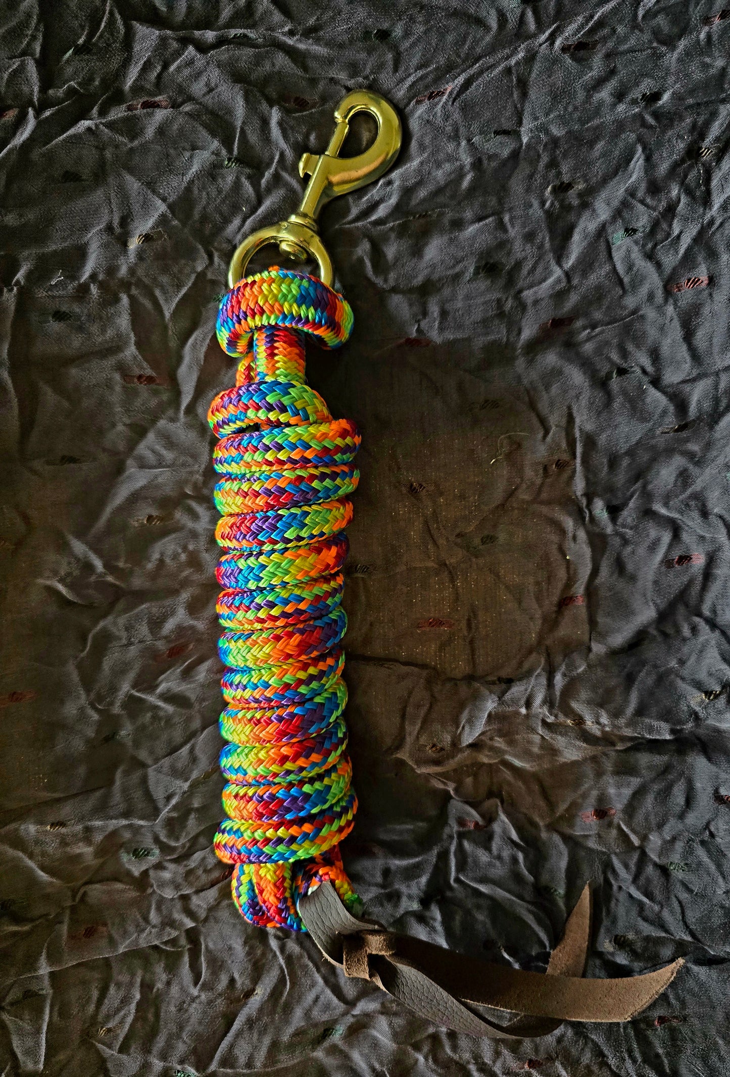 Handcrafted 10' Lead Rope with Leather Popper — Rainbow
