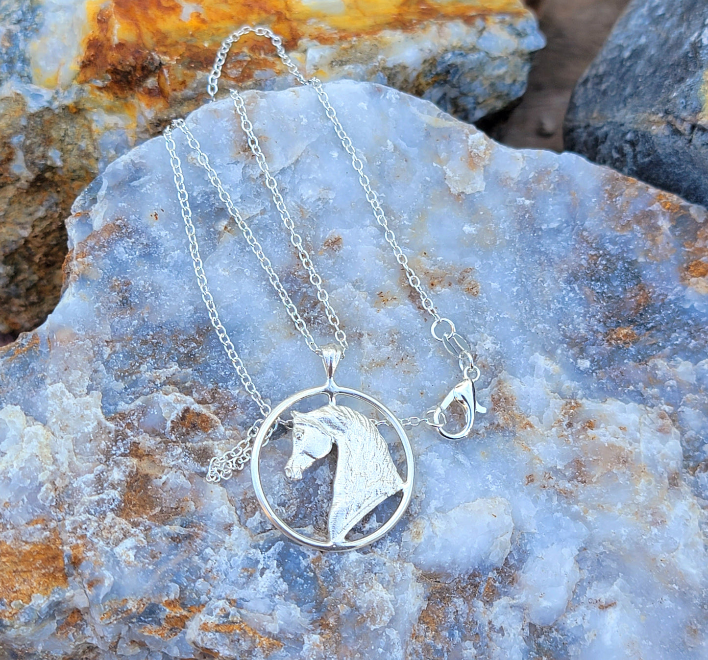 Sterling Silver Petite Arabian Horse Circle Pendant Necklace