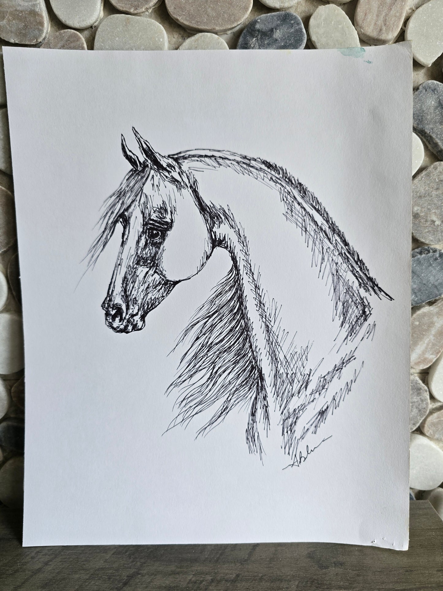 Ink & Soul — Original Arabian Horse Ink Pen Drawing