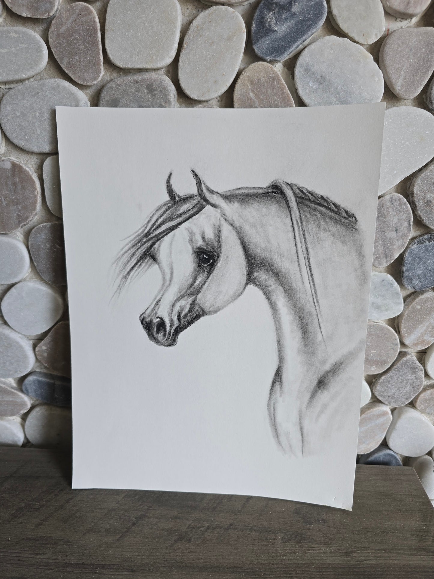 Elegance in Graphite — Original Arabian Horse Pencil Drawing