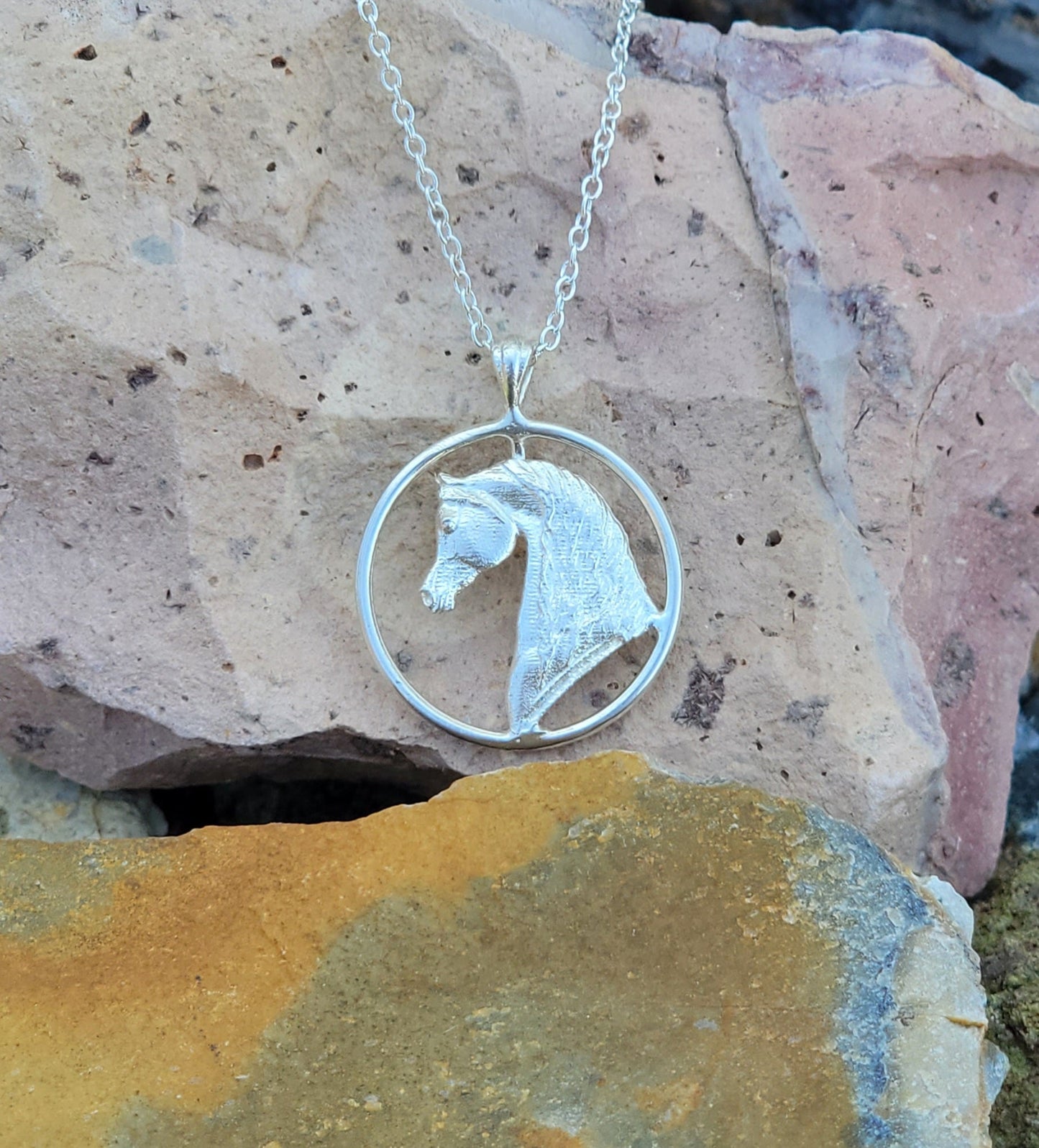 Sterling Silver Petite Arabian Horse Circle Pendant Necklace