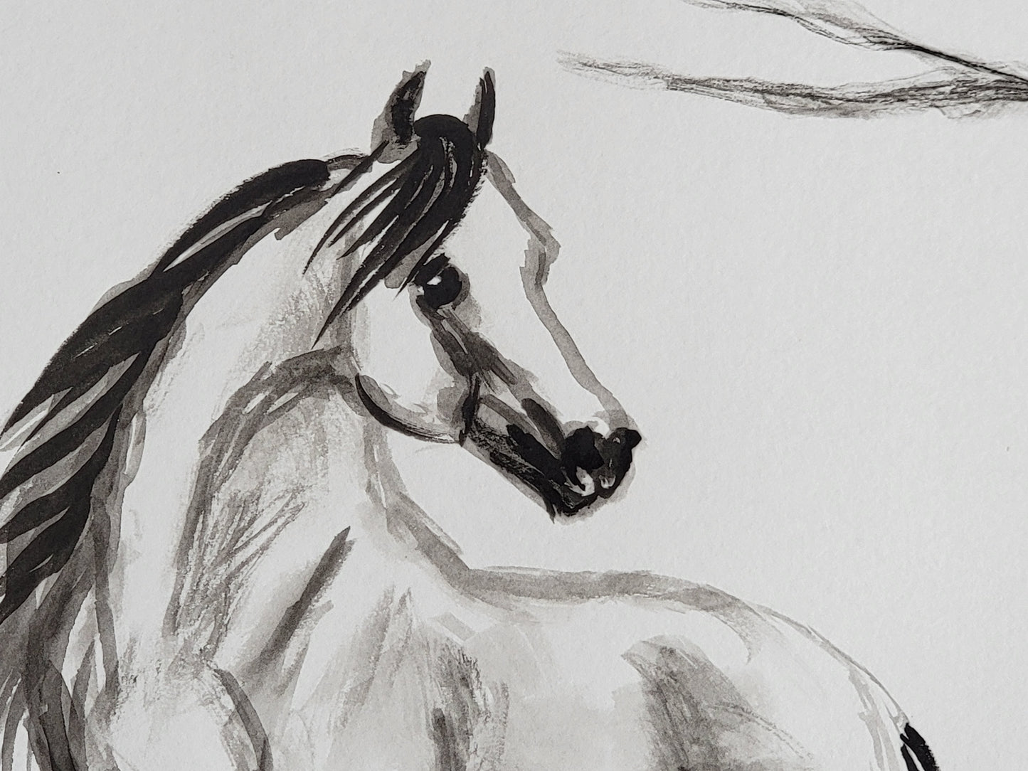 Wild Mustang — Original 9x12" Ink & Watercolor Equine Art