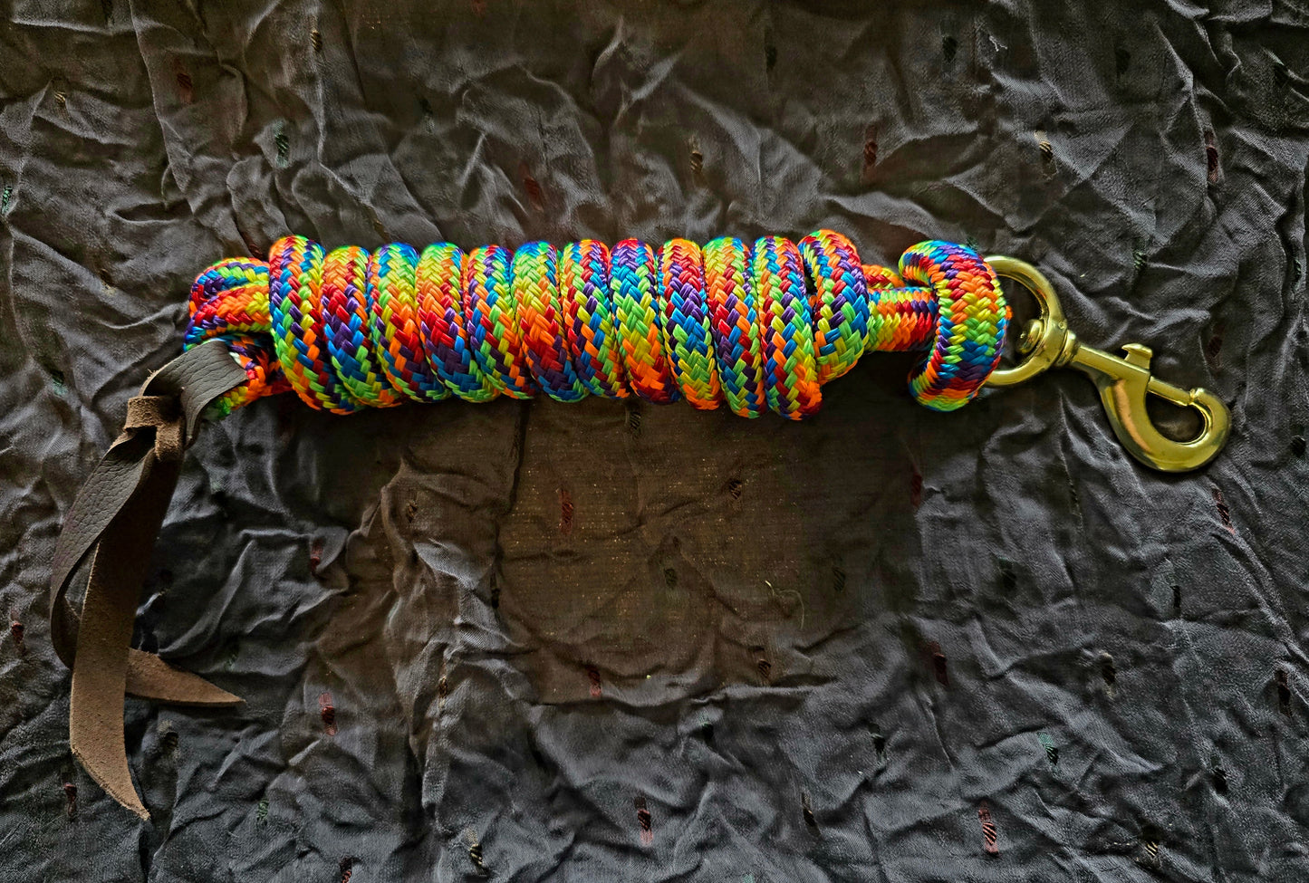 Handcrafted 10' Lead Rope with Leather Popper — Rainbow