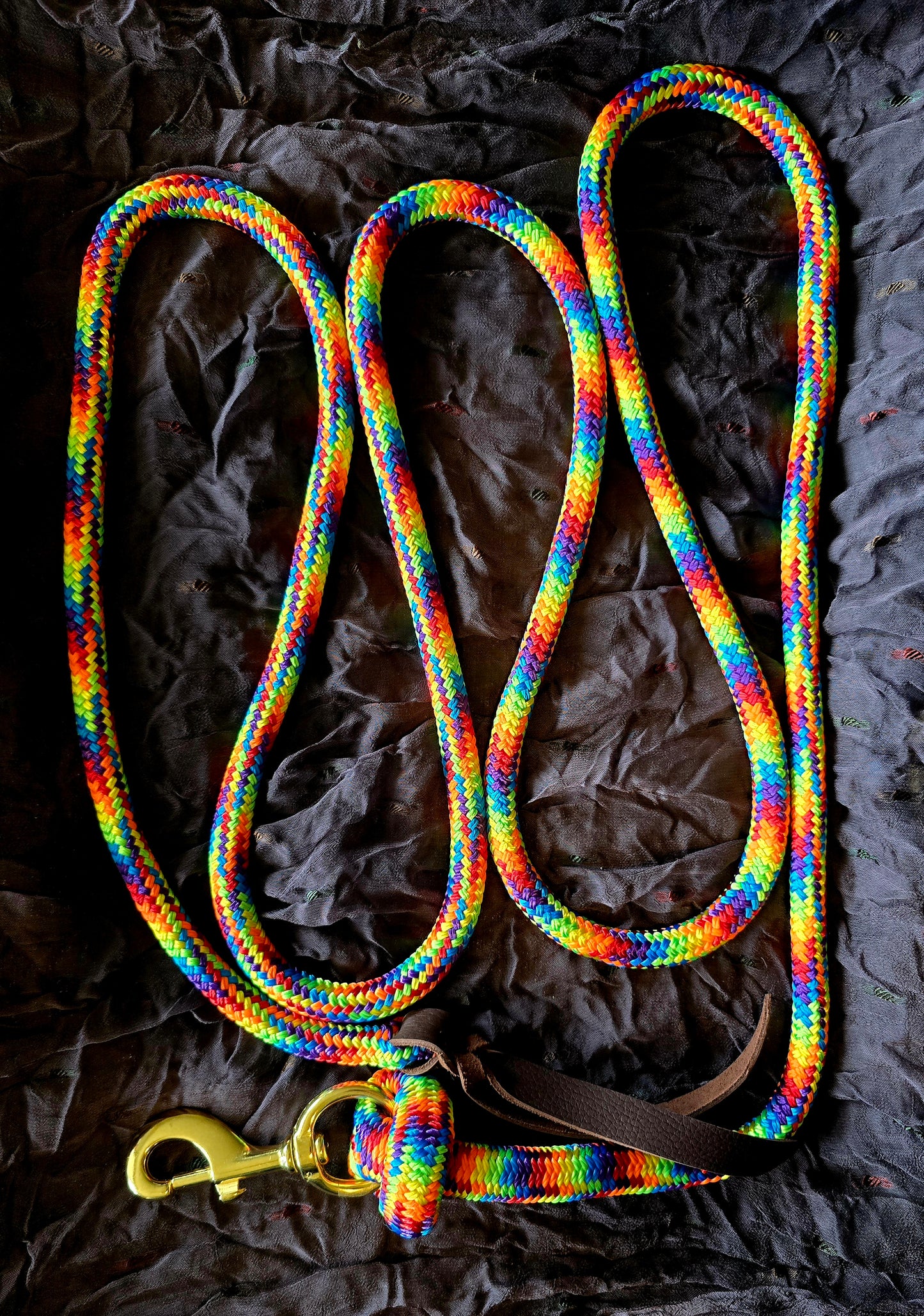 Handcrafted 10' Lead Rope with Leather Popper — Rainbow