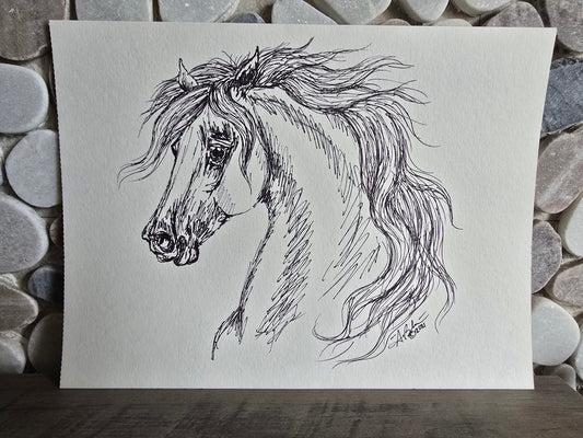 Horse Original Pen & Ink Drawing