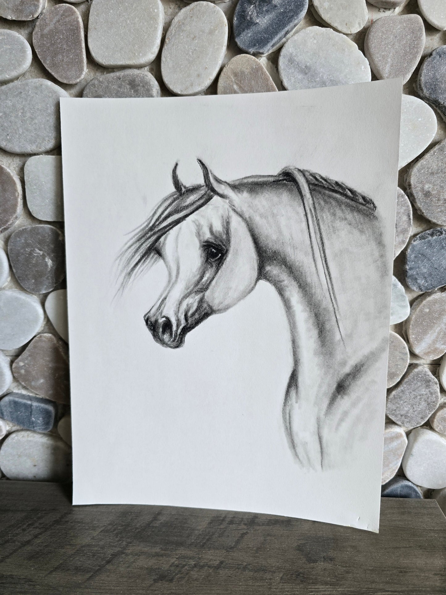 Elegance in Graphite — Original Arabian Horse Pencil Drawing