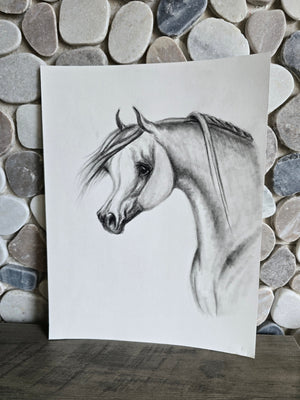 Elegance in Graphite — Original Arabian Horse Pencil Drawing