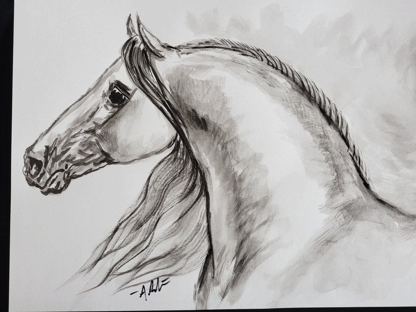 Spanish Beauty — Original Andalusian Horse Watercolor