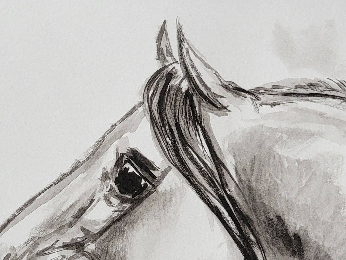 Spanish Beauty — Original Andalusian Horse Watercolor