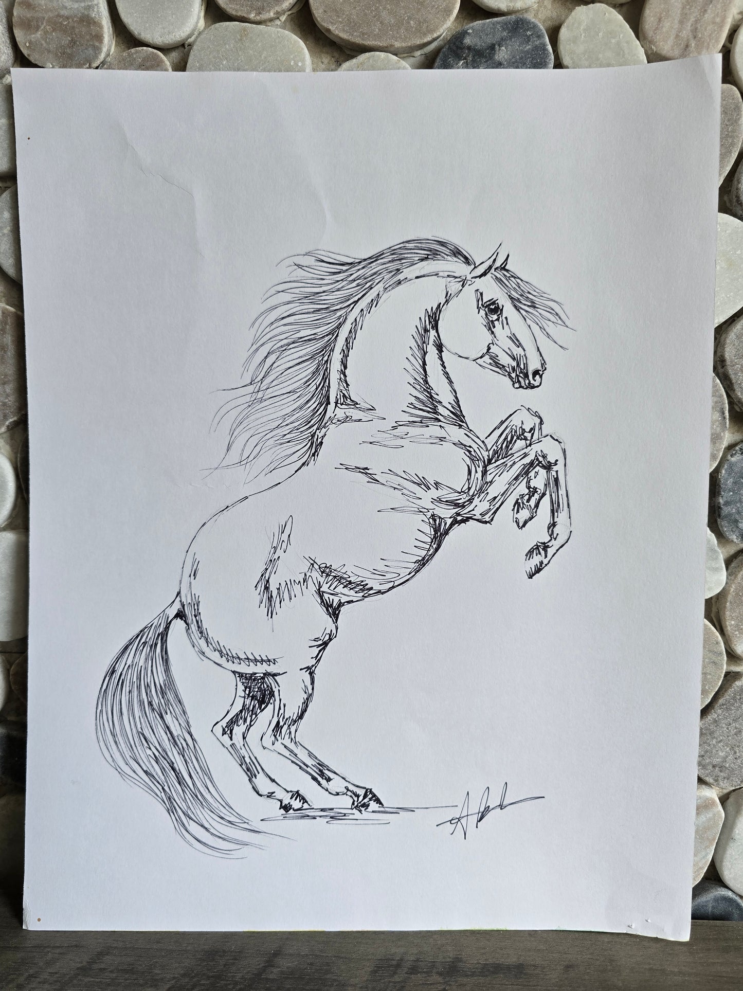 Rise — Original Roman Horse Ink Pen Drawing