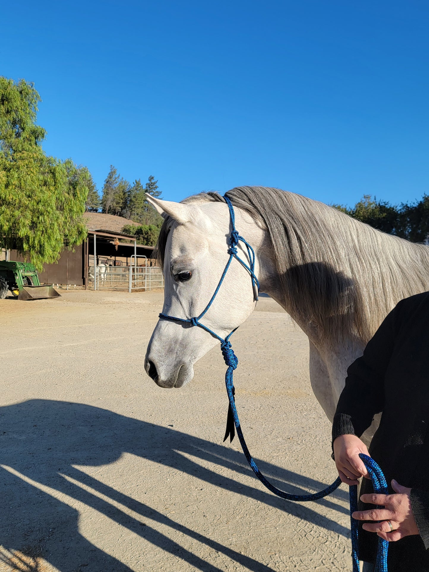 Handcrafted Rope Halter – Arabian & Refined Stock Horse Fit