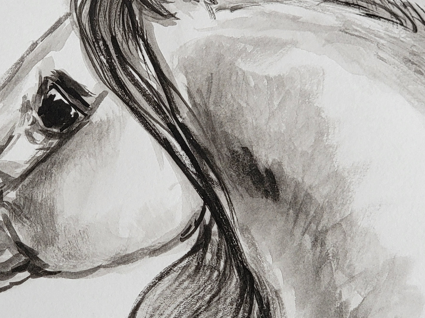 Spanish Beauty — Original Andalusian Horse Watercolor