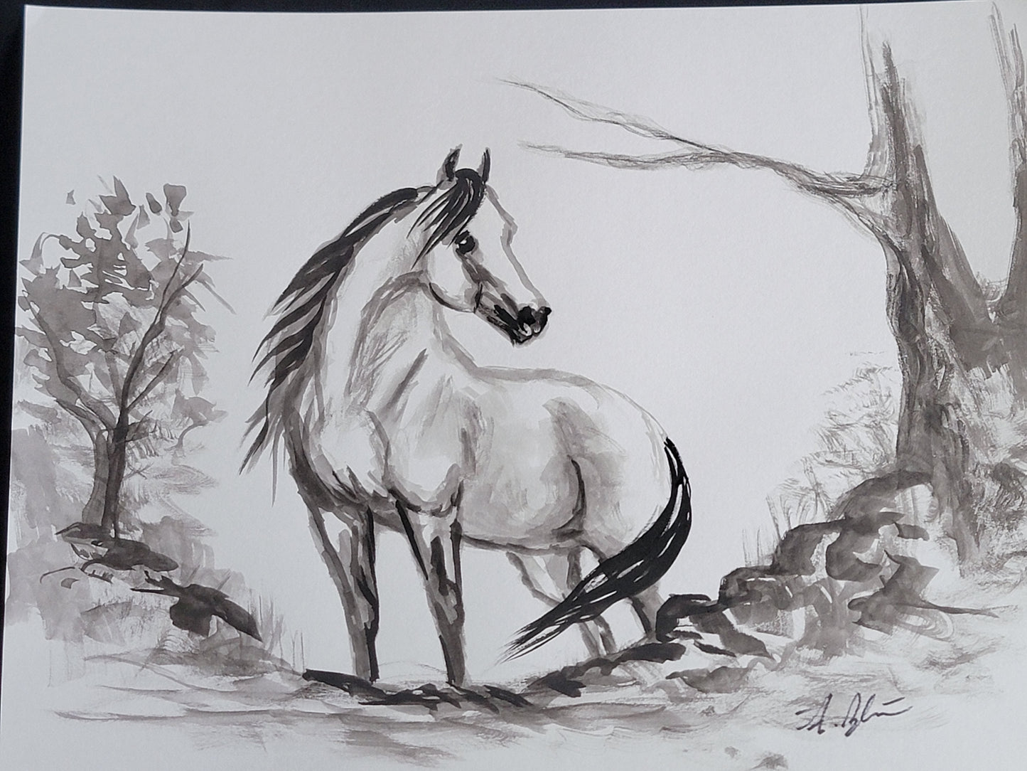 Wild Mustang — Original 9x12" Ink & Watercolor Equine Art