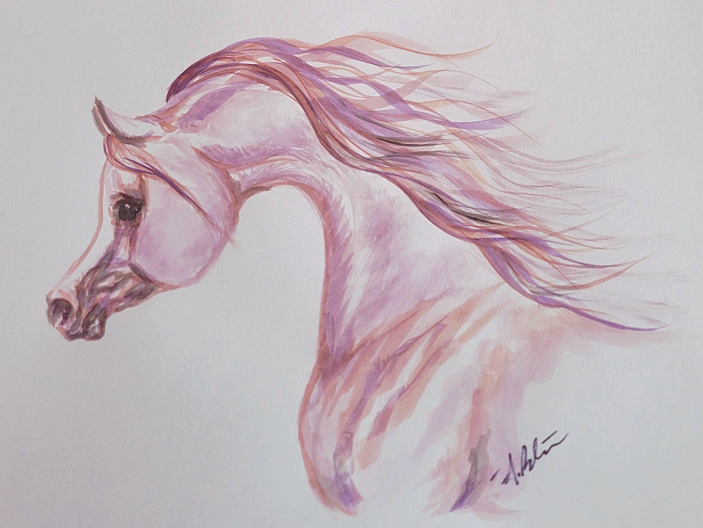 Zephyr of the Desert — Original 8x12" Watercolor Painting