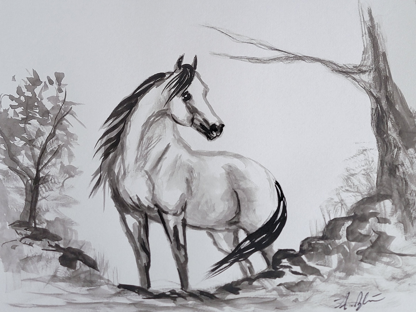 Wild Mustang — Original 9x12" Ink & Watercolor Equine Art