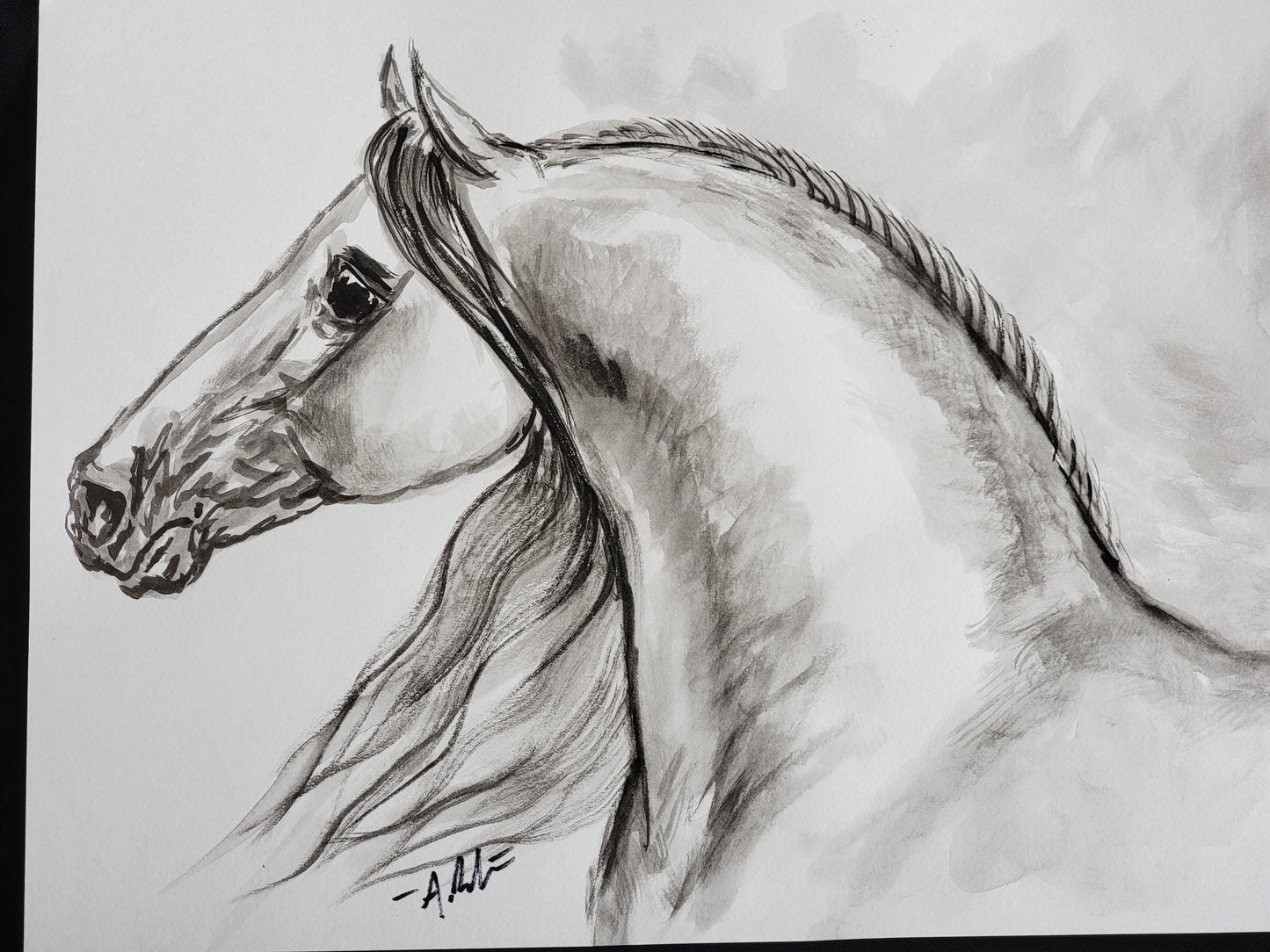 Spanish Beauty — Original Andalusian Horse Watercolor