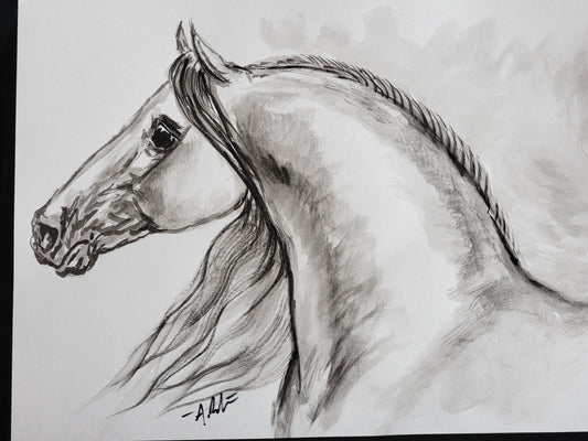 Spanish Beauty — Original Andalusian Horse Watercolor